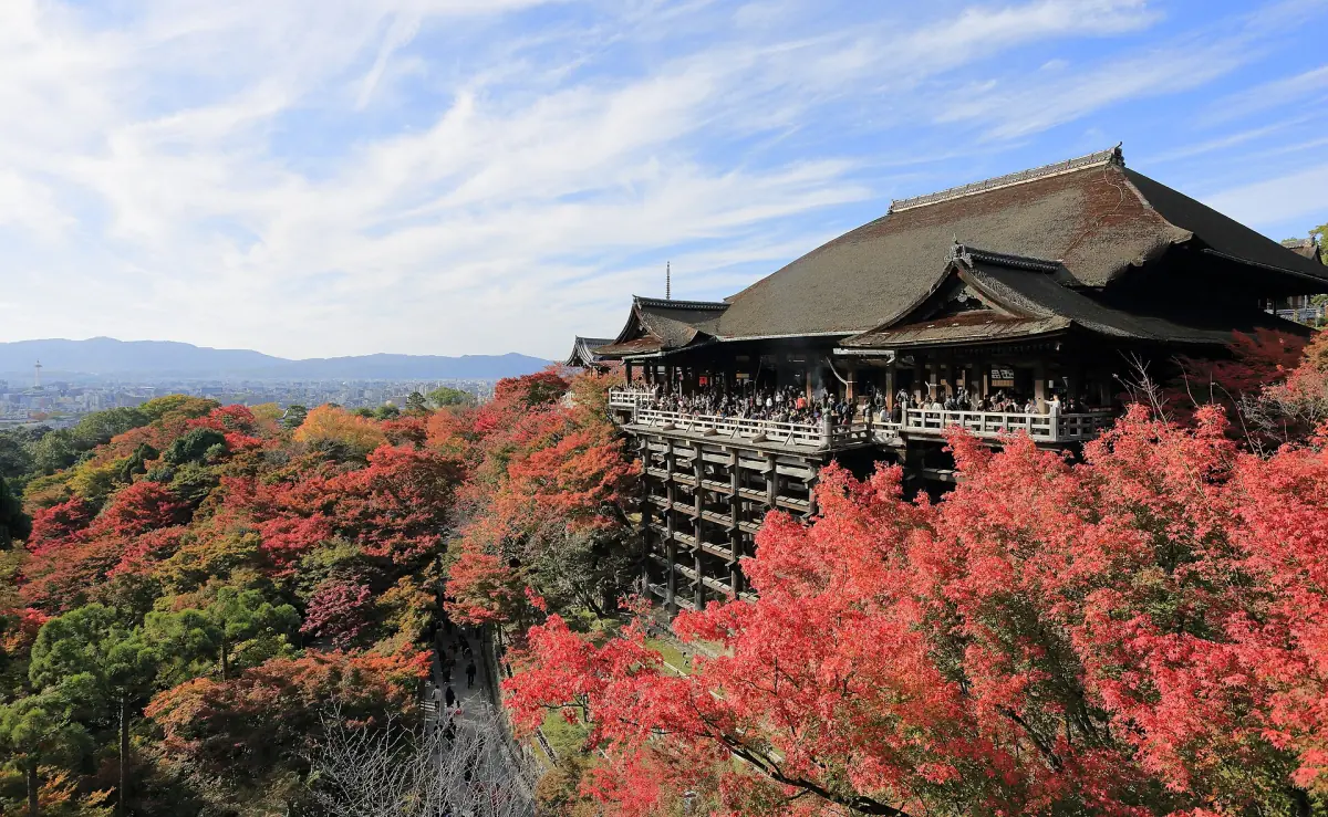 Die Haupthalle des Kiyomizu-dera im Herbst